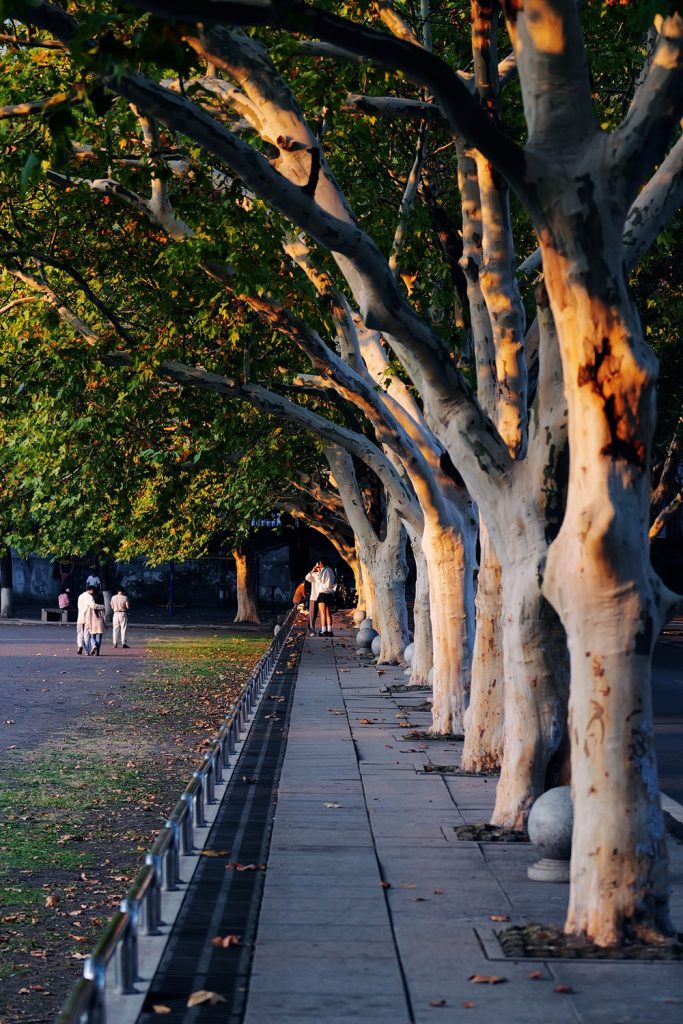 中南大学铁道学院